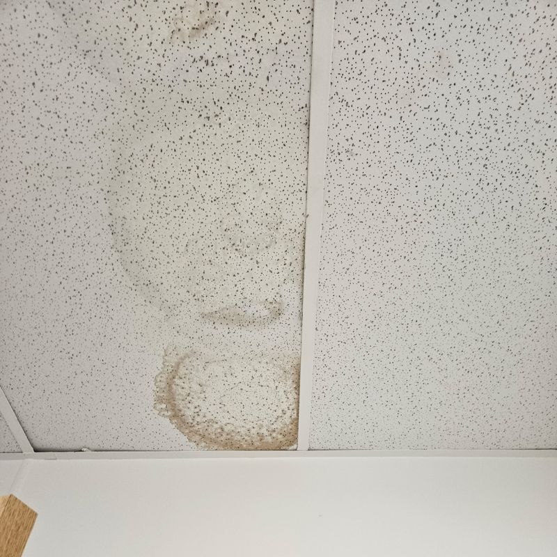 Interior Water Intrusion from Roof Leak